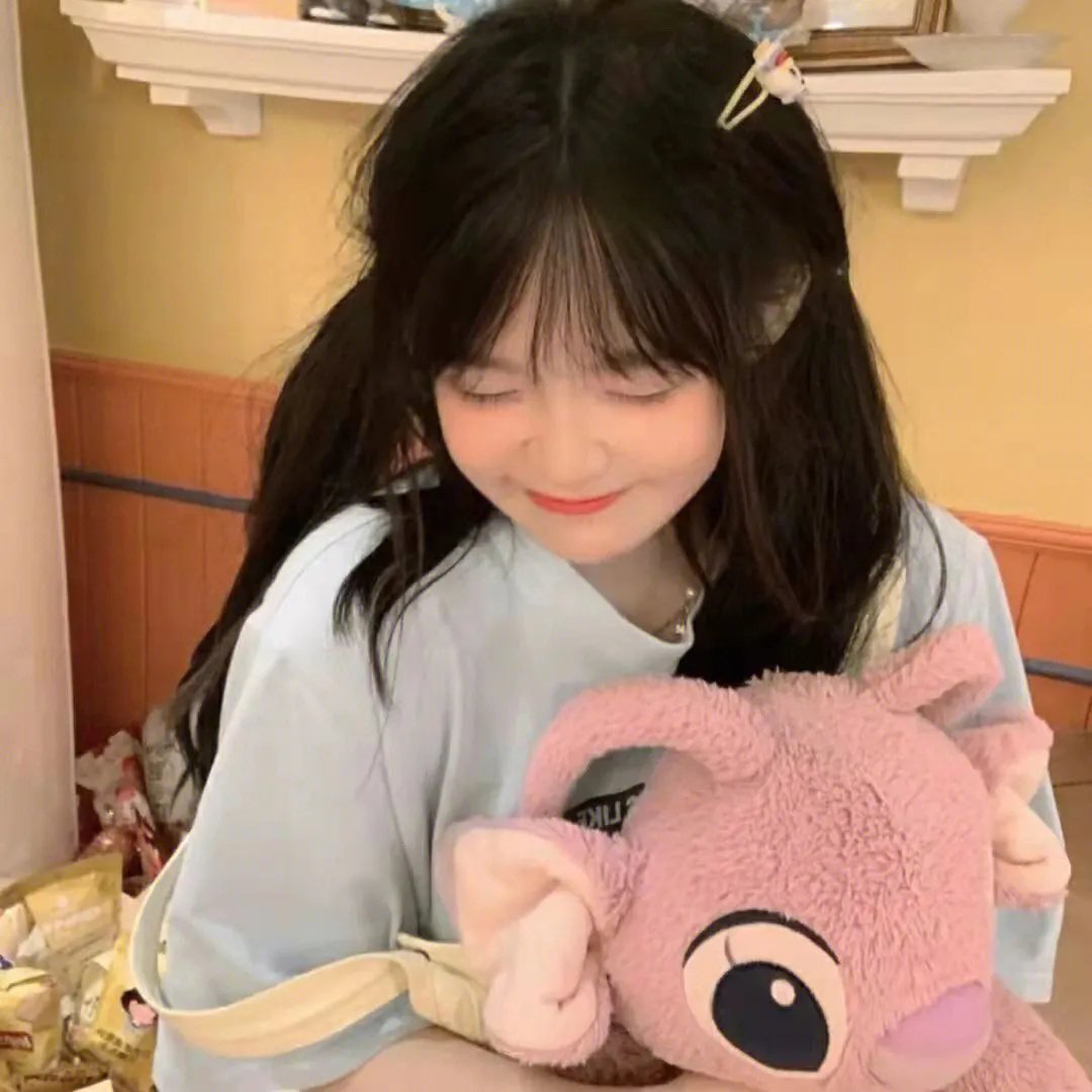 一只龟的进化史